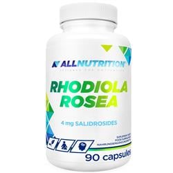 Rhodiola Rosea