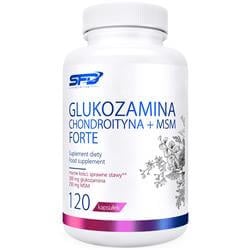 Glukozamina Chondroityna + Msm Forte